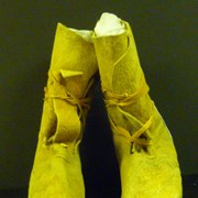 Cover image of  Moccasins